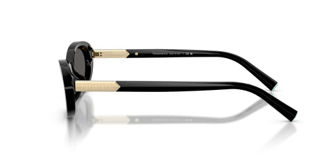 Tiffany & Co TF4250 8001/S4 Sunglasses