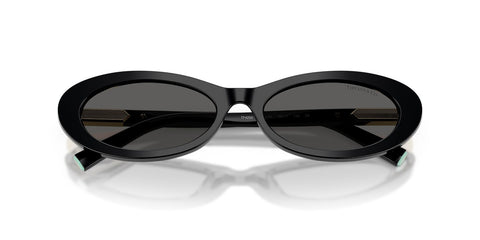 Tiffany & Co TF4250 8001/S4 Sunglasses