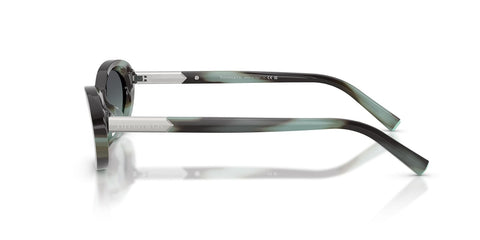Tiffany & Co TF4250 8443/2G Sunglasses