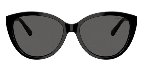 Tiffany & Co TF4251 8001/S4 Sunglasses