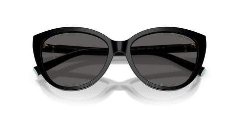 Tiffany & Co TF4251 8001/S4 Sunglasses