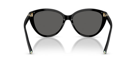 Tiffany & Co TF4251 8001/S4 Sunglasses