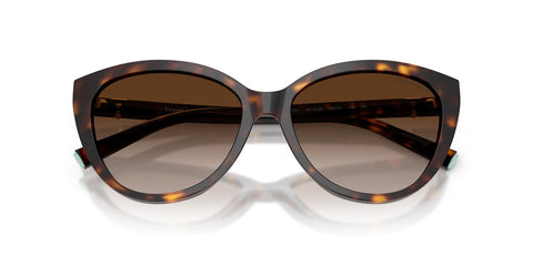 Tiffany & Co TF4251 8015/3B Sunglasses