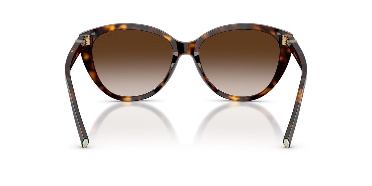 Tiffany & Co TF4251 8015/3B Sunglasses