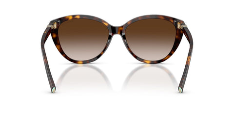 Tiffany & Co TF4251 8015/3B Sunglasses