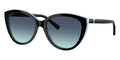 Tiffany & Co TF4251 8055/9S Sunglasses