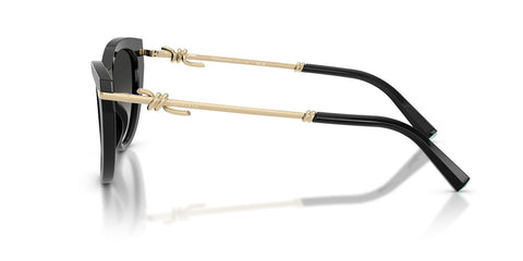 Tiffany & Co TF4253 8001/3C Sunglasses