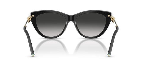 Tiffany & Co TF4253 8001/3C Sunglasses