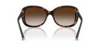 Tiffany & Co TF4257U 8015/3B Sunglasses