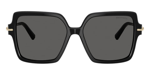 Tiffany & Co TF4260U 8001/S4 Sunglasses