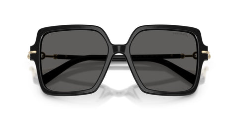 Tiffany & Co TF4260U 8001/S4 Sunglasses