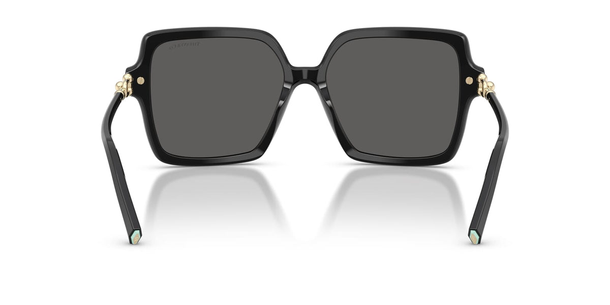 Tiffany & Co TF4260U 8001/S4 Sunglasses
