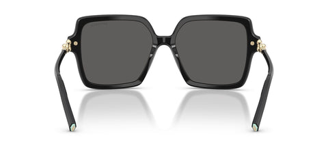 Tiffany & Co TF4260U 8001/S4 Sunglasses