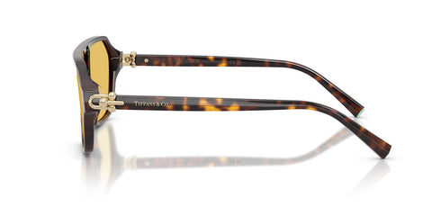 Tiffany & Co TF4264U 8015/85 Sunglasses