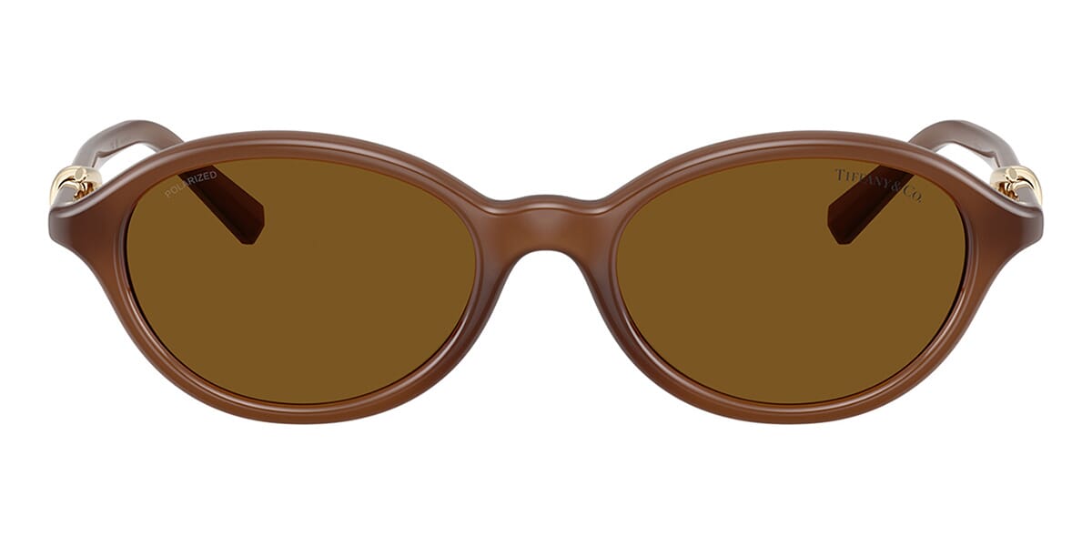 Tiffany & Co TF4266U 8471/83 Sunglasses
