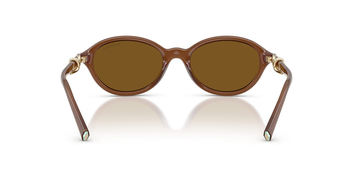 Tiffany & Co TF4266U 8471/83 Sunglasses