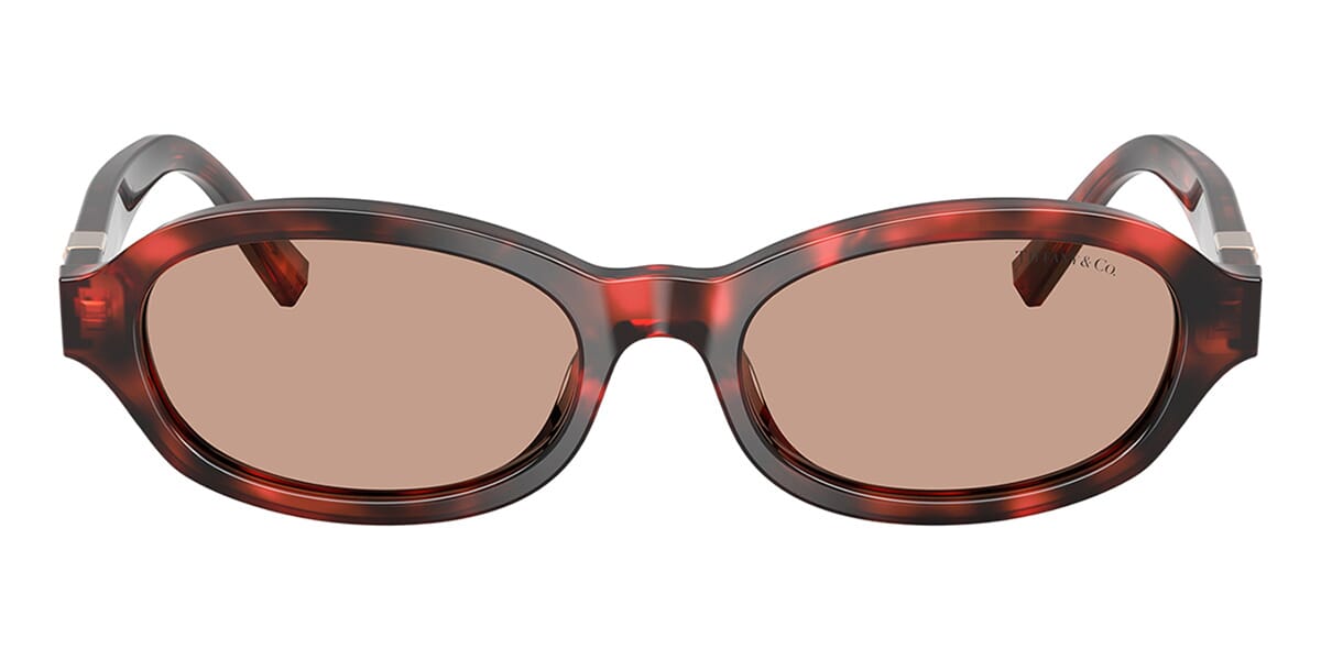 Tiffany & Co TF4270U 8478/73 Sunglasses