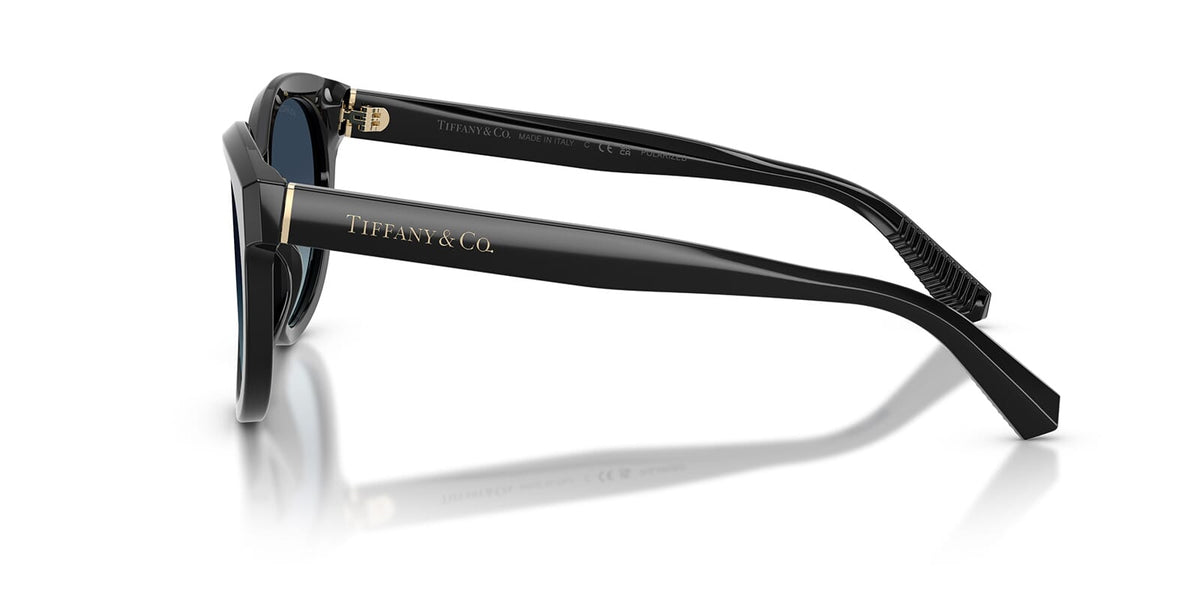 Tiffany & Co TF4271 8001/4U Sunglasses
