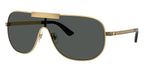 Versace 2293 1002/87 Sunglasses