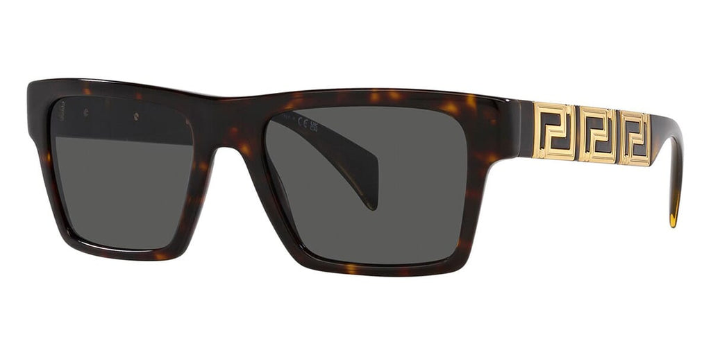 Versace 4445 108/87 Sunglasses