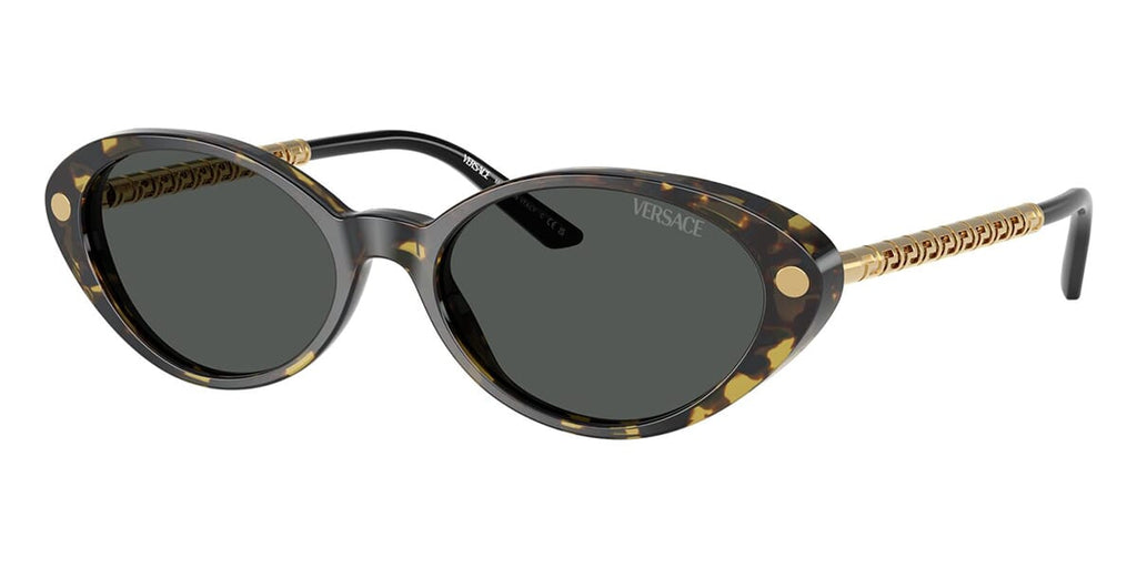 Versace 4469 5470/87 Sunglasses