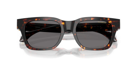 Versace 4486 5509/81 Polarised Sunglasses