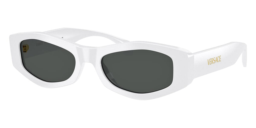 Versace 4487 314/87 Sunglasses