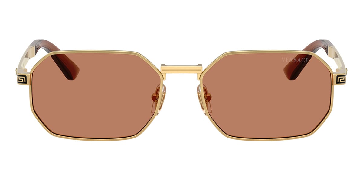 Versace VE2297 1002/73 Sunglasses