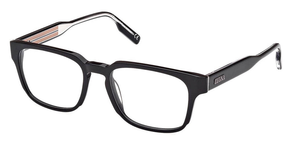 Zegna EZ5262 001 Glasses