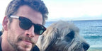 Oliver Peoples Cary Grant Sun OV5413SU 1679/P1 Polarised - As Seen On Leonardo DiCaprio & George Russell