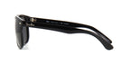 Ray-Ban 4147 601/58 Polarised Sunglasses