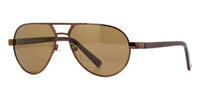 Carnegie MP694 D Polarised
