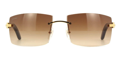 Cartier CT0021RS 001 Sunglasses