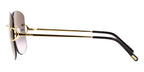 Cartier CT0037RS 001 Sunglasses