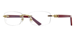 Cartier Canazei CT0048O 006 Glasses Pretavoir