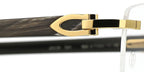 Cartier Buffalo Horn CT0049O 001