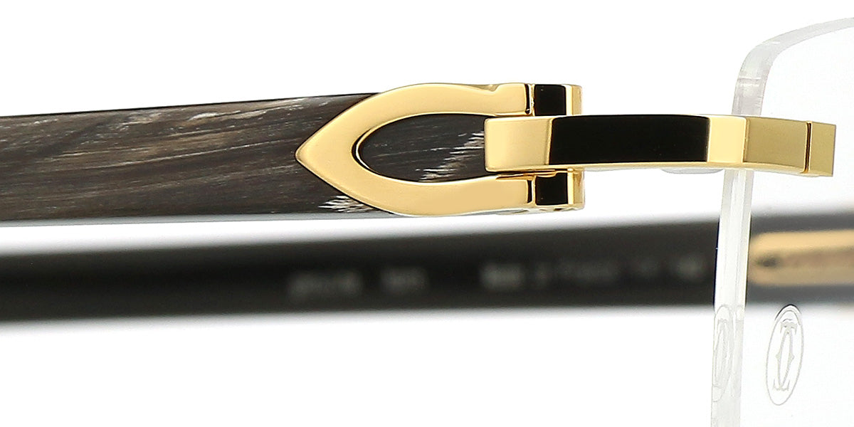 Cartier Buffalo Horn CT0049O 001