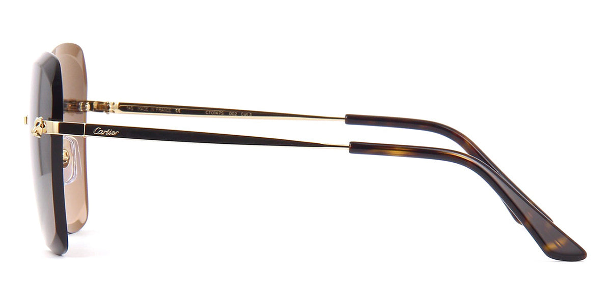 cartier ct0147s 002
