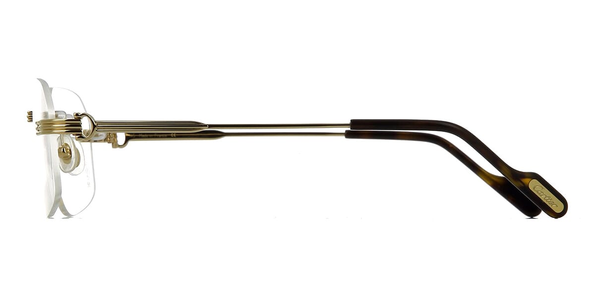 Cartier CT0284O 002 Glasses