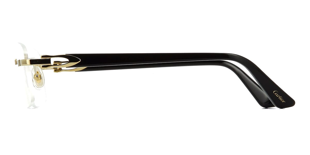 Cartier CT0287O 001 Glasses