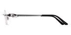Cartier CT0290O 004 Glasses