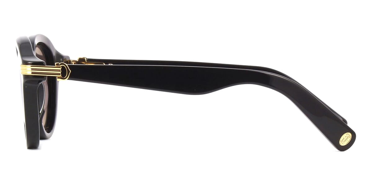 Cartier CT0395S 001 Sunglasses