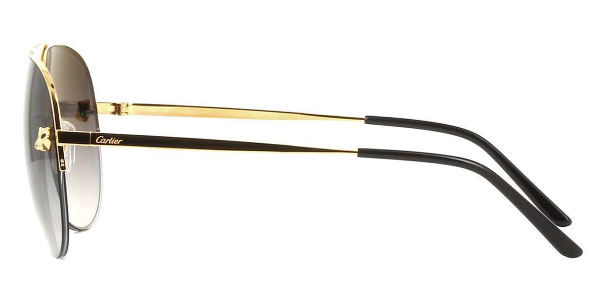 cartier panthere pilot esw00093