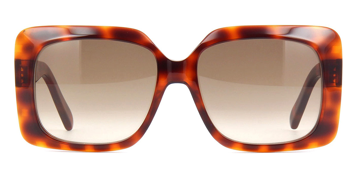 celine cl40096i 55f