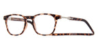 clic manhattan tortoise