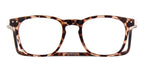 clic manhattan tortoise