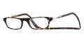 clic vision tortoise