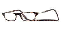 clic vision tortoise