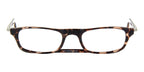 clic vision tortoise