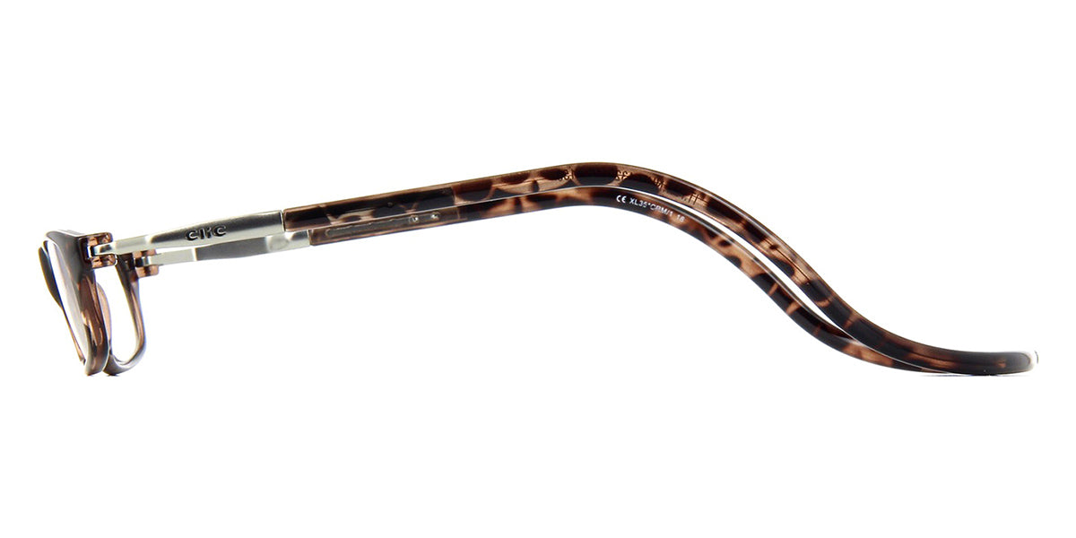 clic vision tortoise